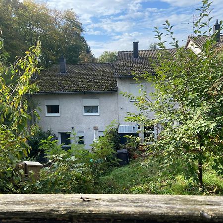 In Saarbruecken Stadtnahe Gemuetliche Wohnung Am Deutsch-Franzoesischen Garten Dış mekan fotoğraf