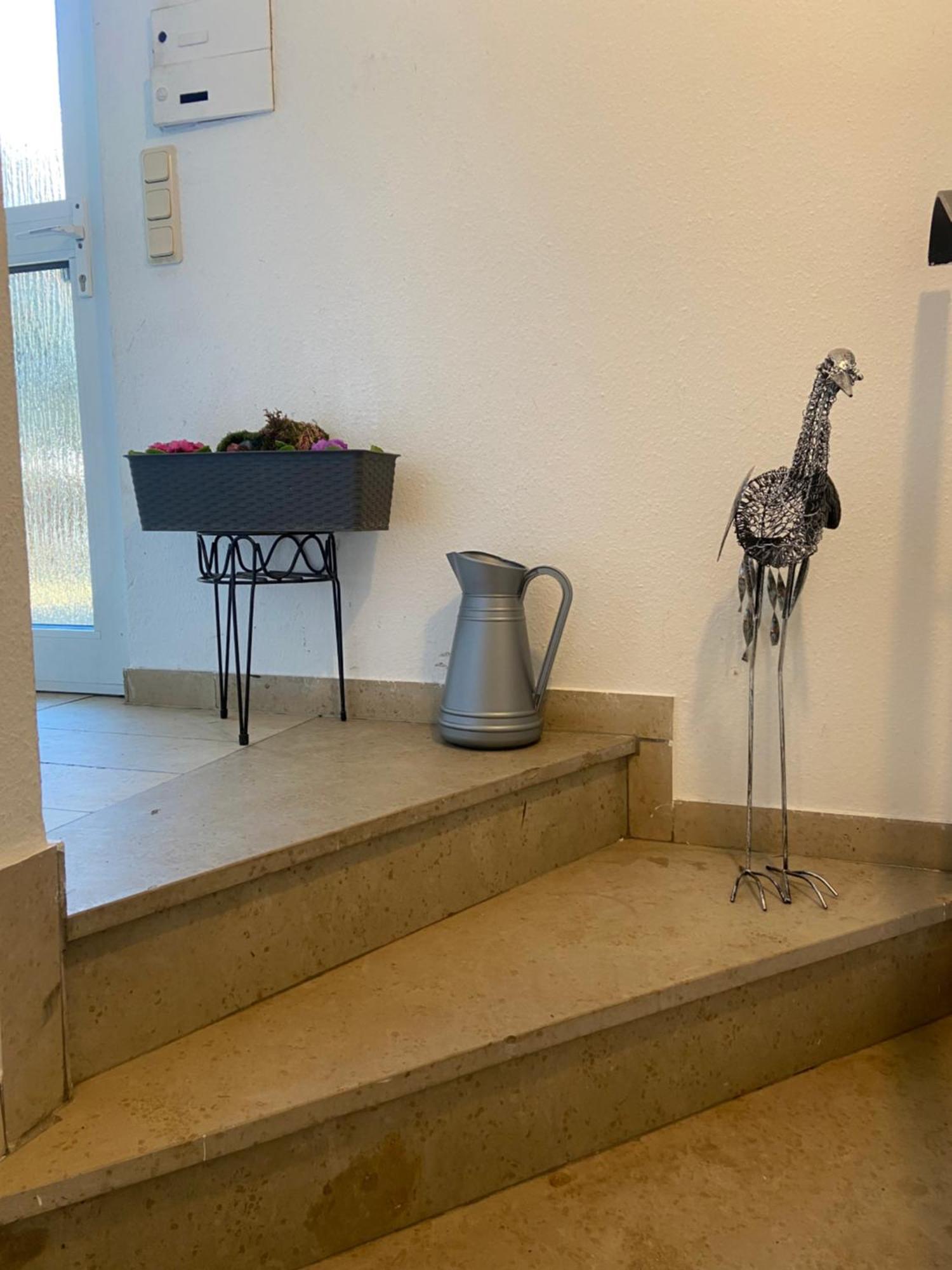 In Saarbruecken Stadtnahe Gemuetliche Wohnung Am Deutsch-Franzoesischen Garten Dış mekan fotoğraf
