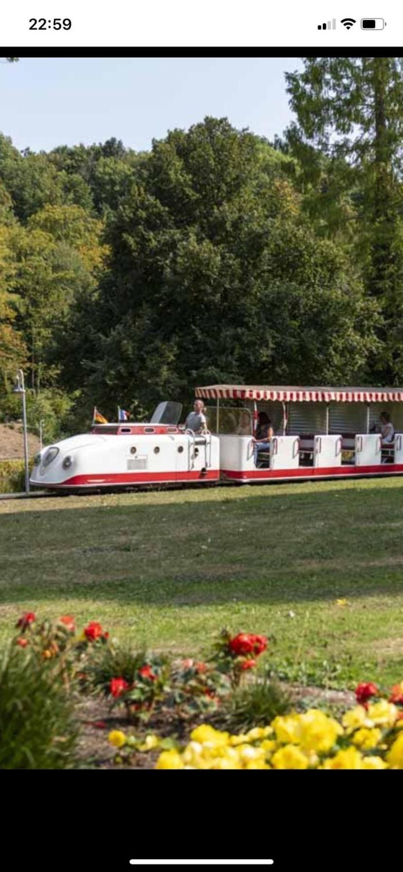 In Saarbruecken Stadtnahe Gemuetliche Wohnung Am Deutsch-Franzoesischen Garten Dış mekan fotoğraf