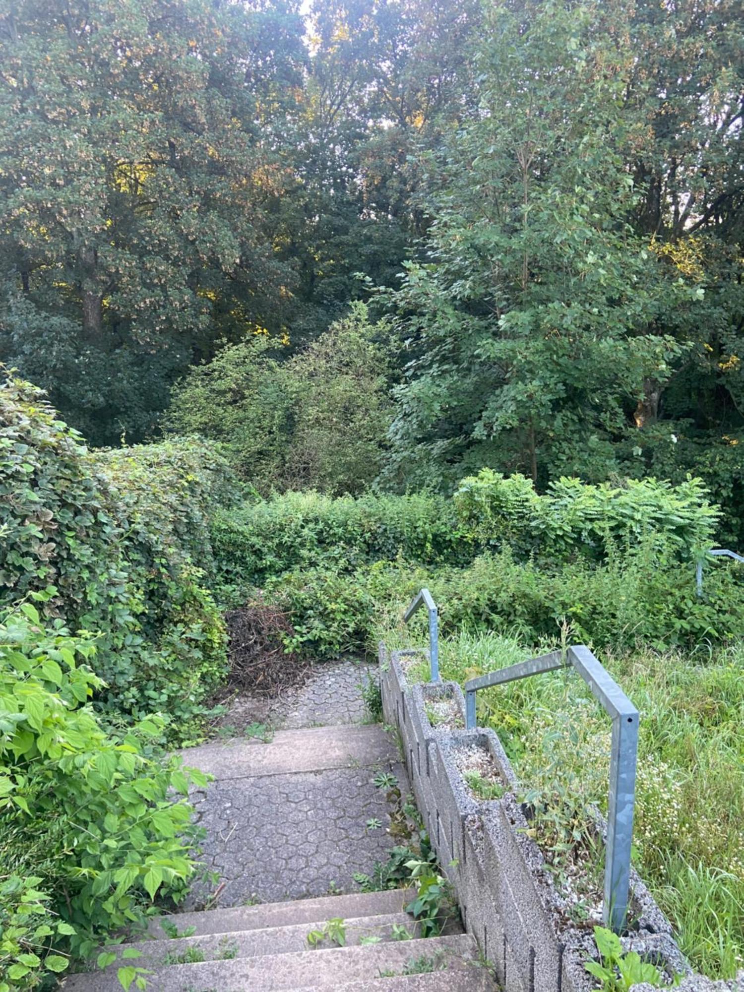In Saarbruecken Stadtnahe Gemuetliche Wohnung Am Deutsch-Franzoesischen Garten Dış mekan fotoğraf
